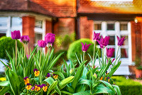 Rubygarden4 copy