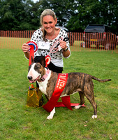 Bestinshow 2copy