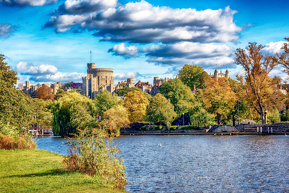 DSC_8735_DxO