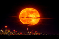 Moon2 copy