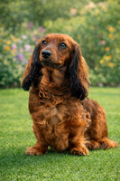 wilma2Atouse