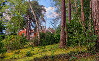 woodsview1 copy