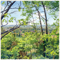 Woodwatercolour copy
