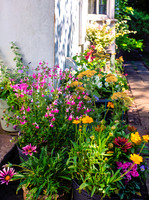 Flowers1 copy