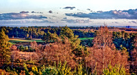 Southeast