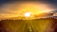 Sun1