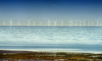 Rampion3