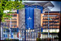 ascot1
