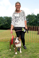 Bestinshow copy