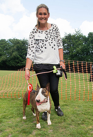 Bestinshow copy