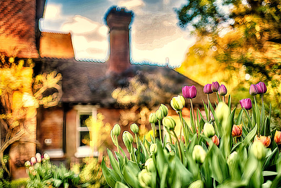 Rubygarden3 copy