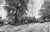 IMG_0297
